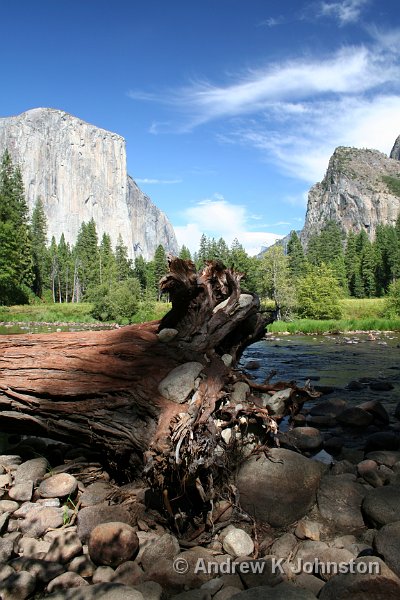 IMG_5619 adjusted.jpg - This shows the Yosemite Gateway, complete with a tree washed down in the great floods of 1997. Ansel Adams shot from this spot, but with no tree!